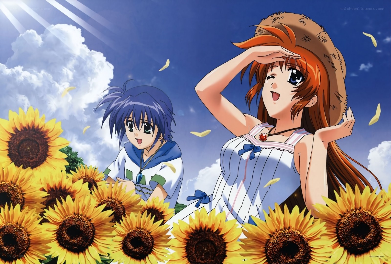 Sunflowers and anime girls