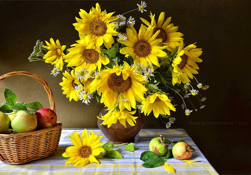 Sunflowers and Apples — Yellow, Calm, Afternoon