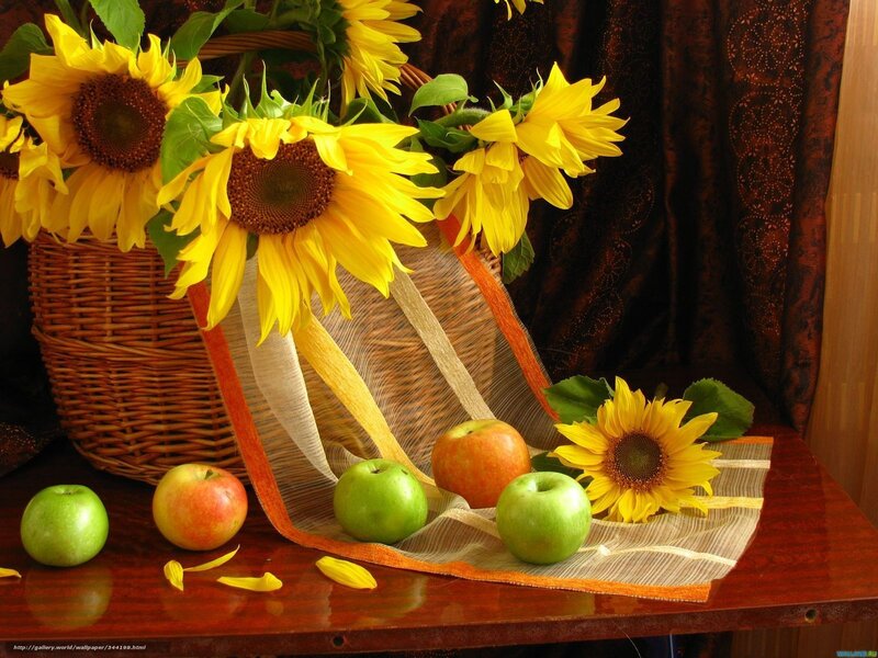 Sunflowers and Apples — Yellow, Calm, Autumn, Photograph, Basket, Table