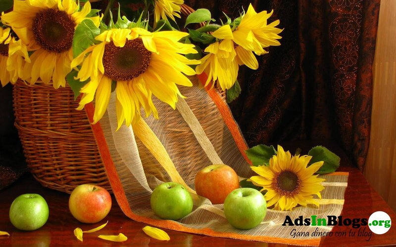 Sunflowers and Apples — Yellow, Calm