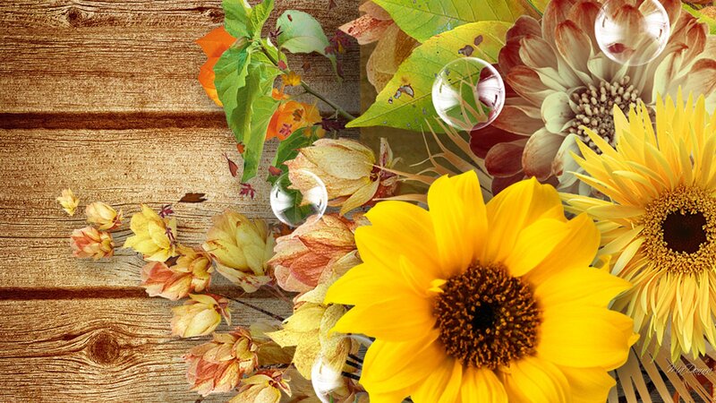 Sunflowers and Autumn Leaves — Yellow, Calm