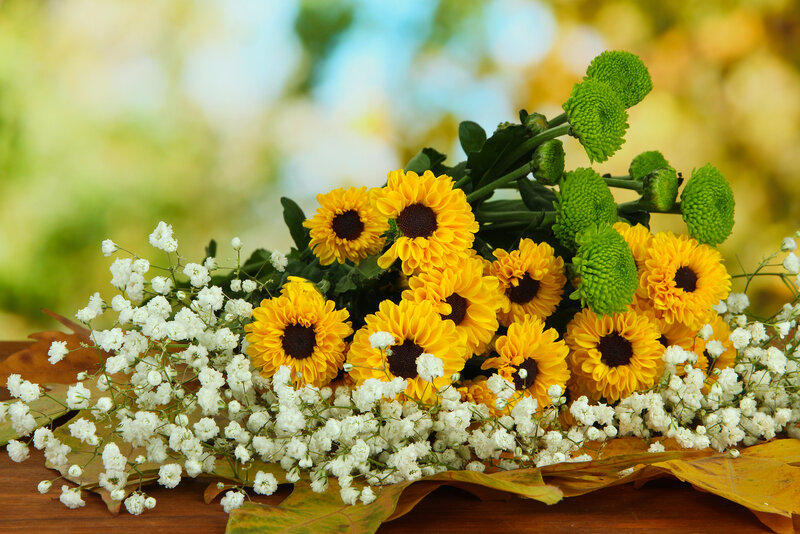 Sunflowers and Baby's Breath — Yellow