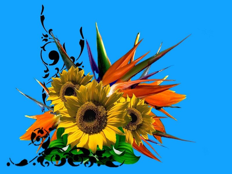 Sunflowers and bird of paradise