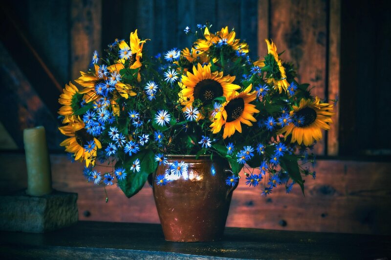 Sunflowers and Blue Flowers