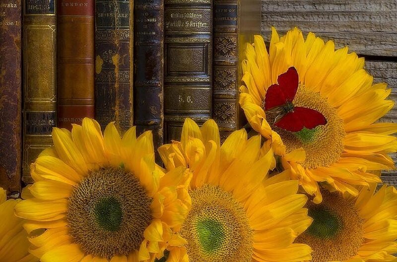 Sunflowers and Books