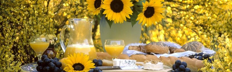 Sunflowers and Breakfast Spread