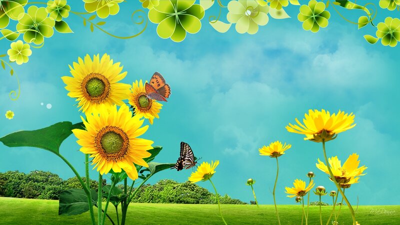 Sunflowers and Butterflies — Yellow