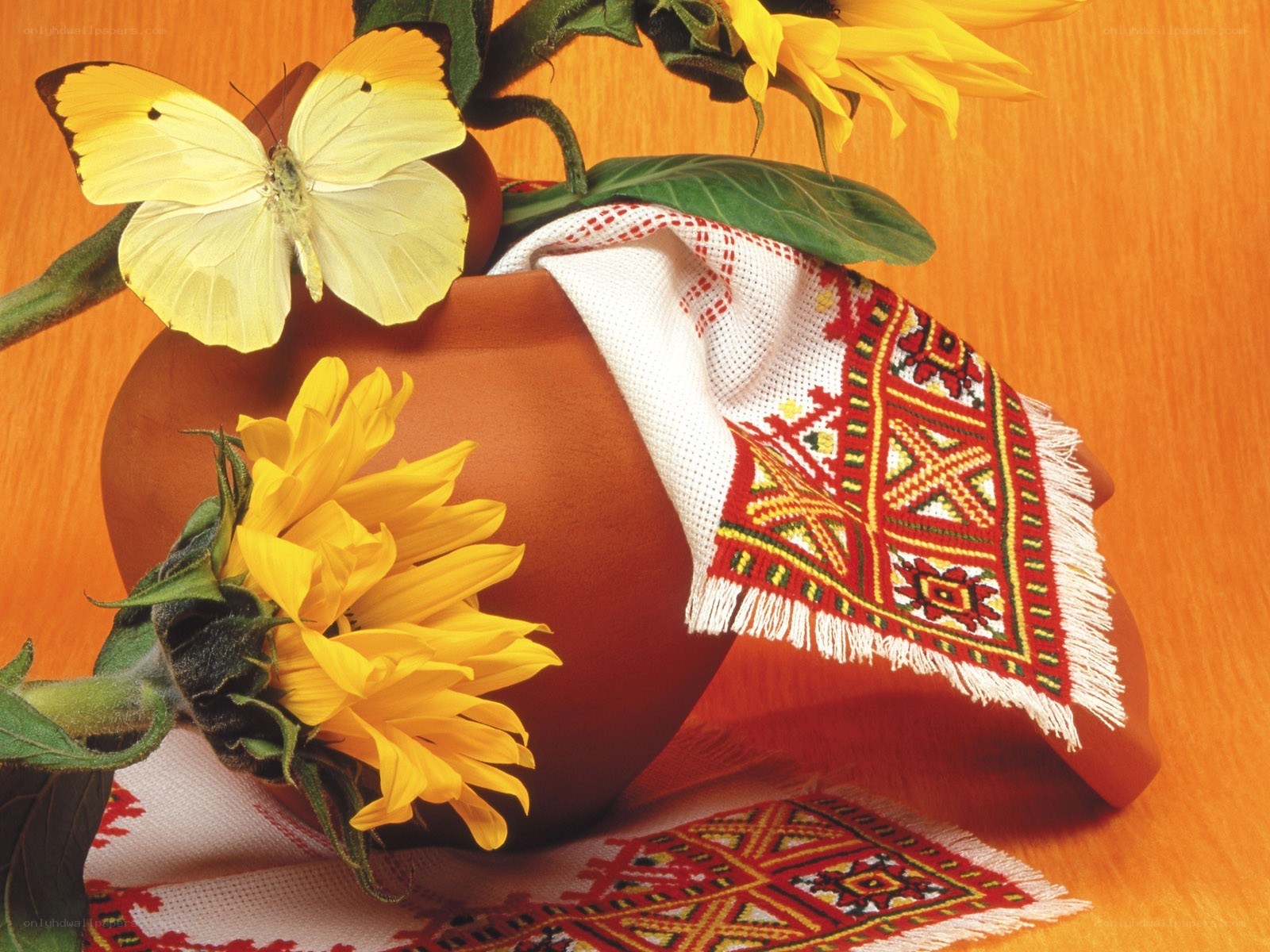Sunflowers and butterfly in a vase
