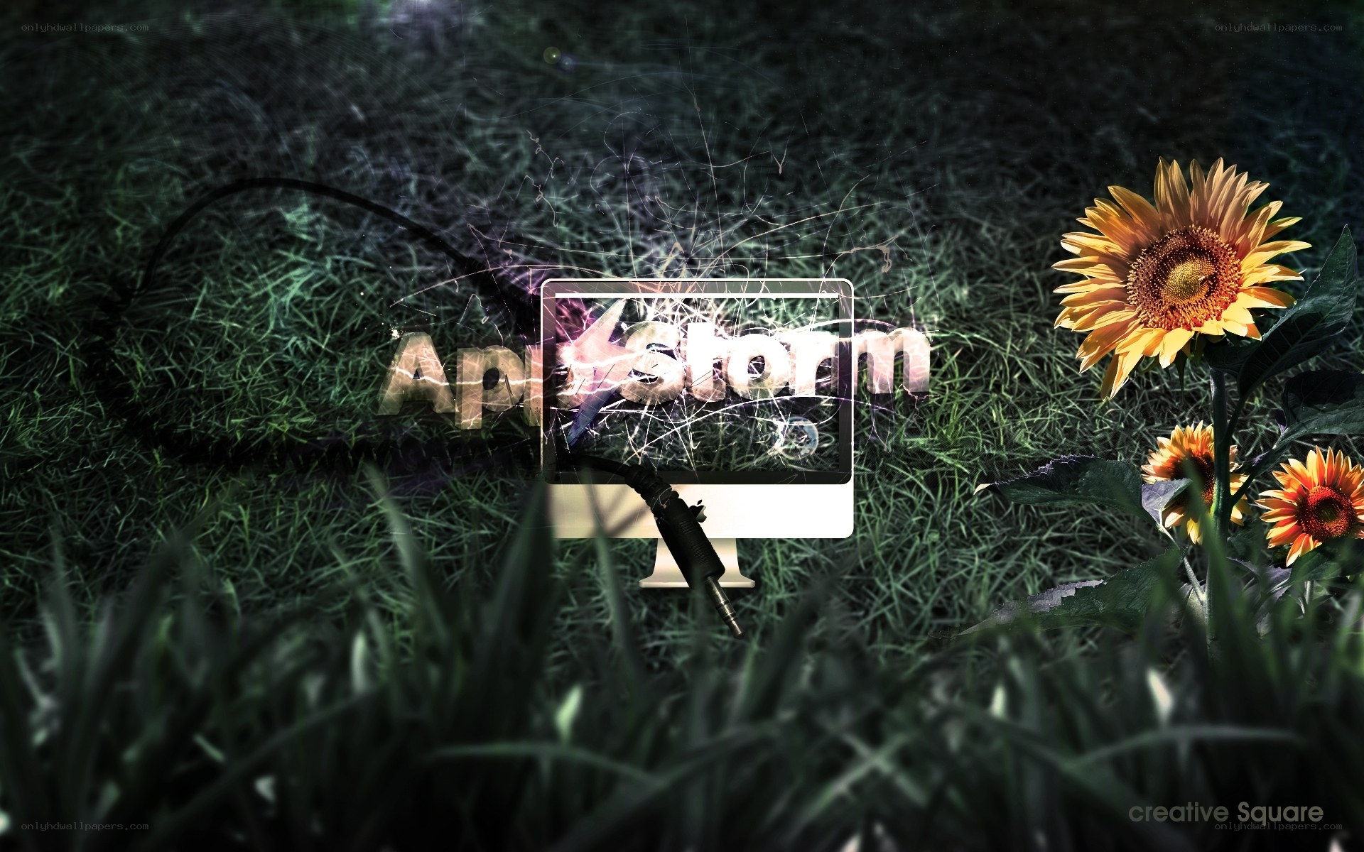 Sunflowers and computer monitor
