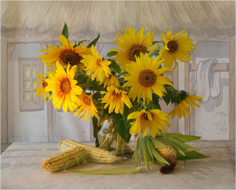 Sunflowers and corn on table