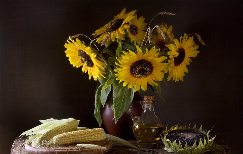 Sunflowers and Corn — Yellow
