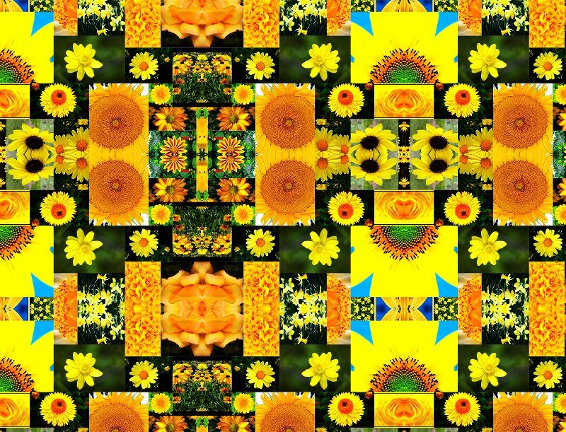Sunflowers and Daffodils