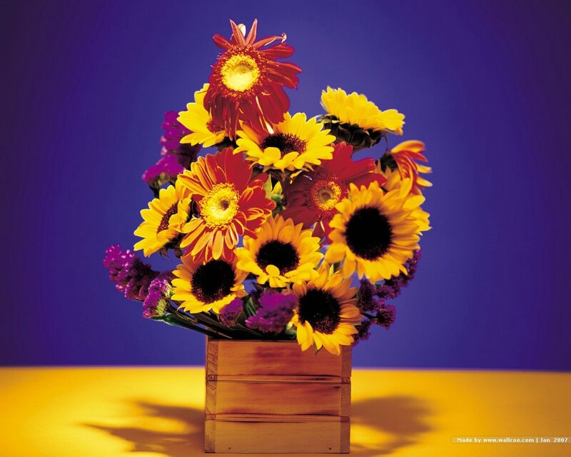 Sunflowers and Daisies in Box