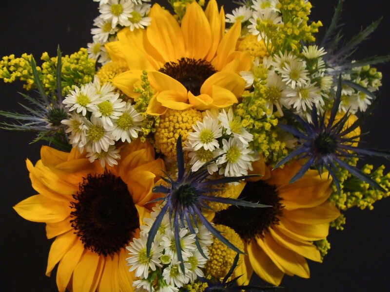 Sunflowers and Daisies
