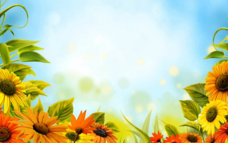 Sunflowers and Daisies — Yellow, Bright