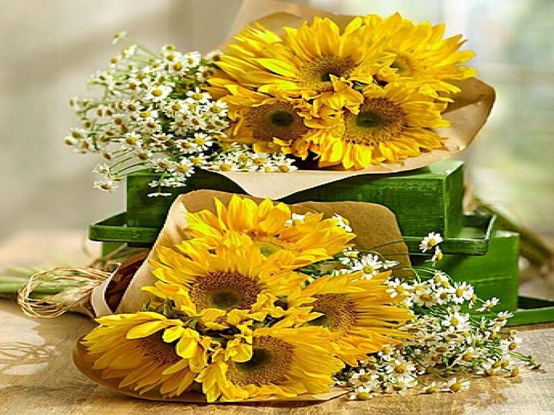 Sunflowers and Daisies — Yellow, Calm