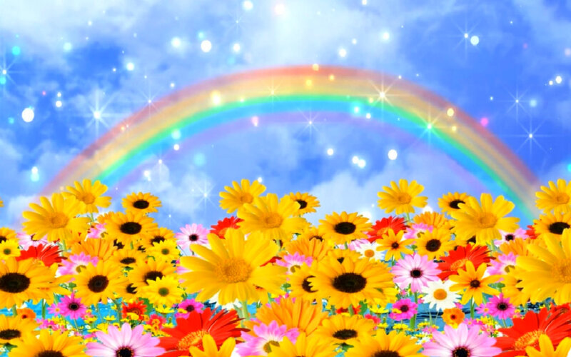 Sunflowers and Daisies — Yellow, Cheerful