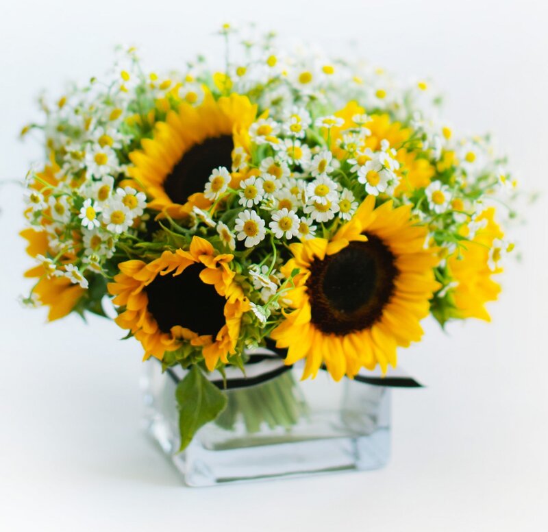 Sunflowers and Daisies — Yellow