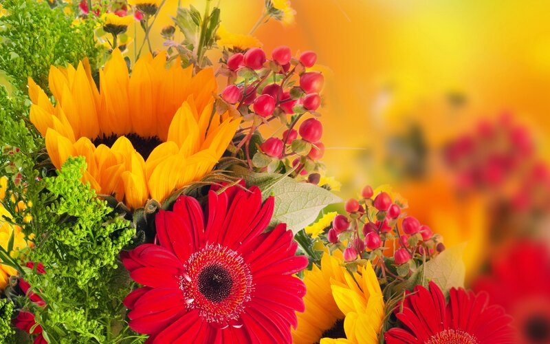 Sunflowers and Gerbera Daisies — Red, Vibrant