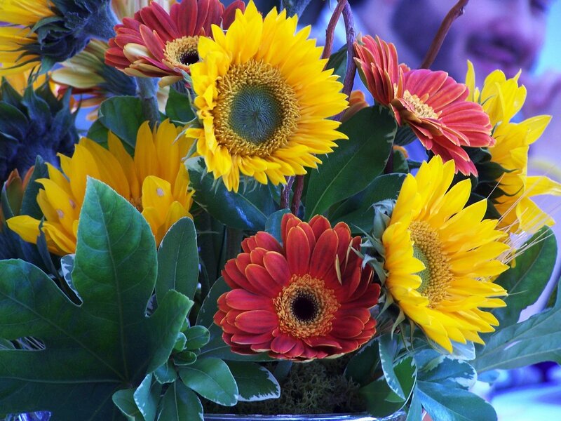 Sunflowers and Gerbera Daisies