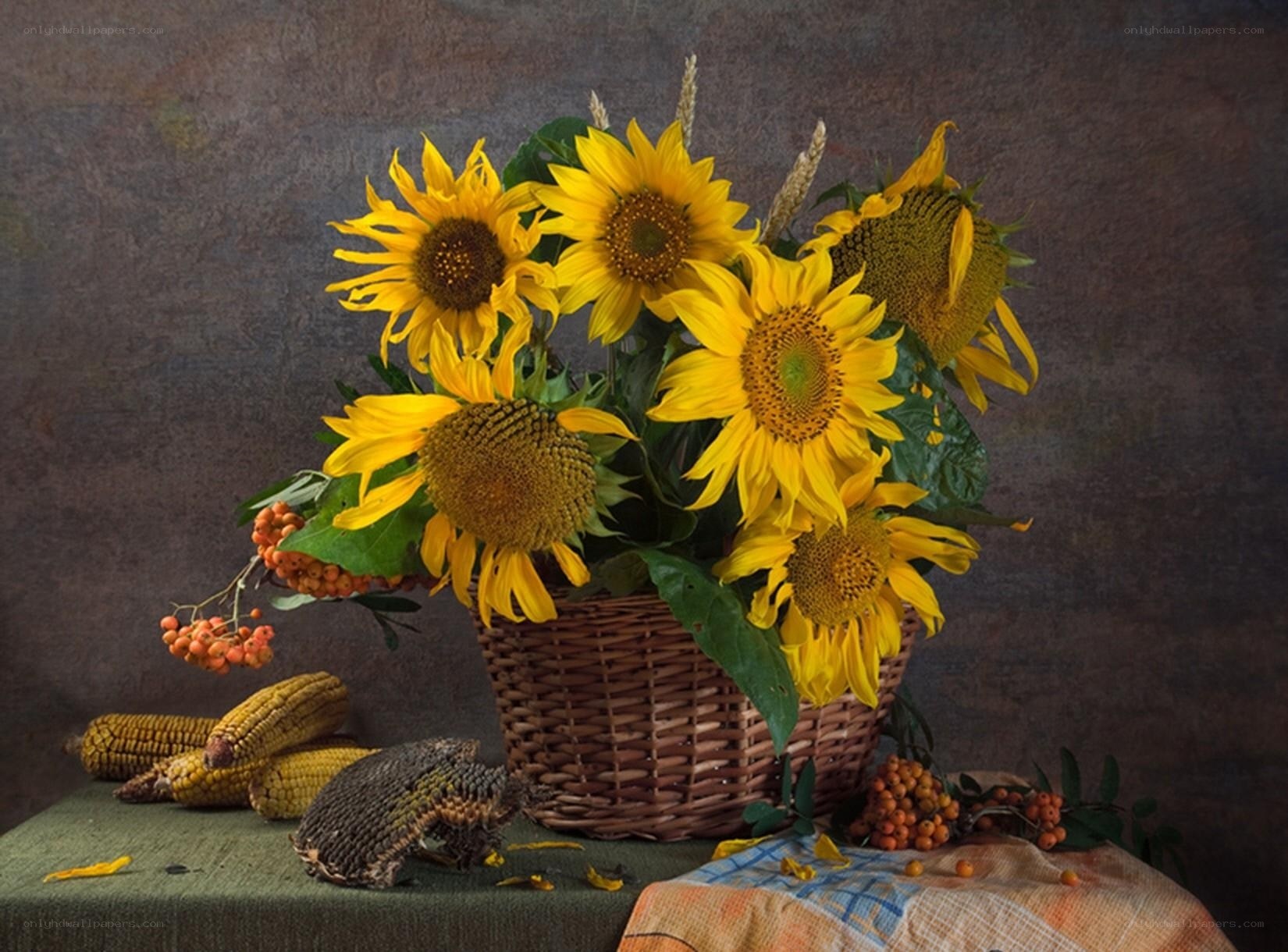 Sunflowers and harvest still life