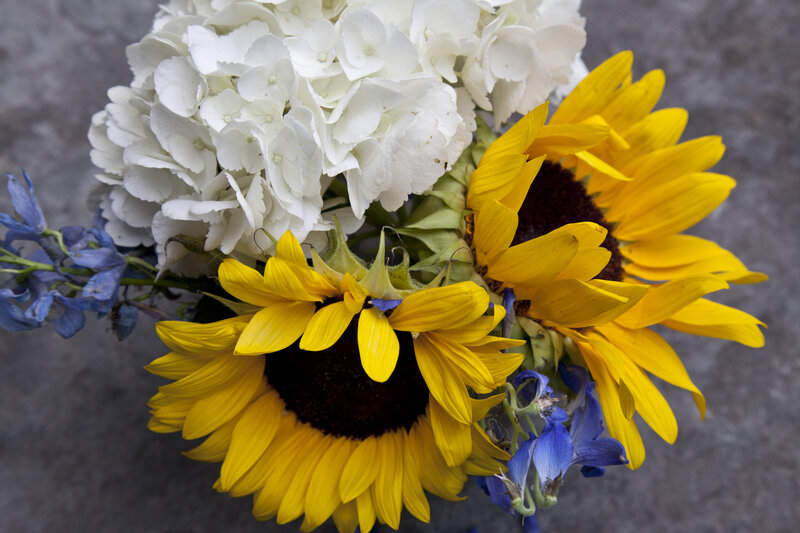 Sunflowers and Hydrangeas — Yellow