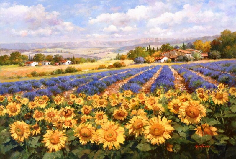 Sunflowers and Lavender Field