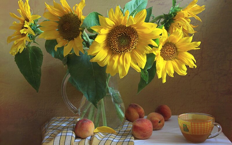 Sunflowers and Peaches — Yellow, Calm