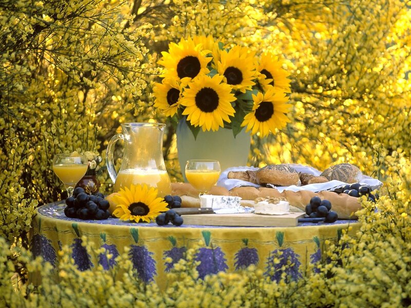 Sunflowers and picnic spread