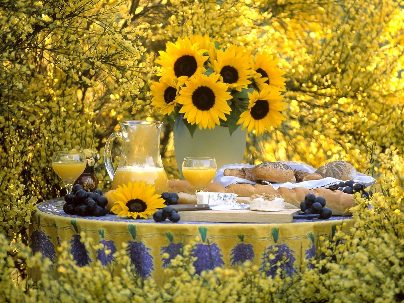 Sunflowers and picnic spread