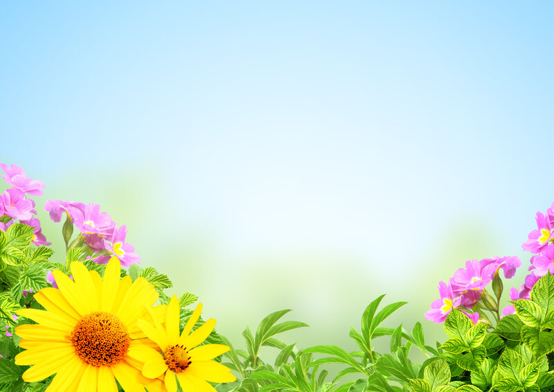 Sunflowers and Pink Flowers — Yellow