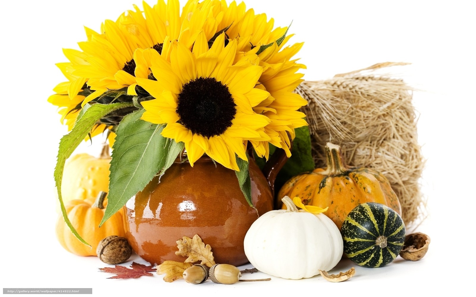 Sunflowers and pumpkins arrangement