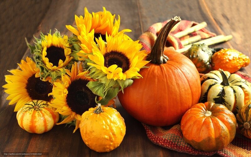 Sunflowers and pumpkins on wood
