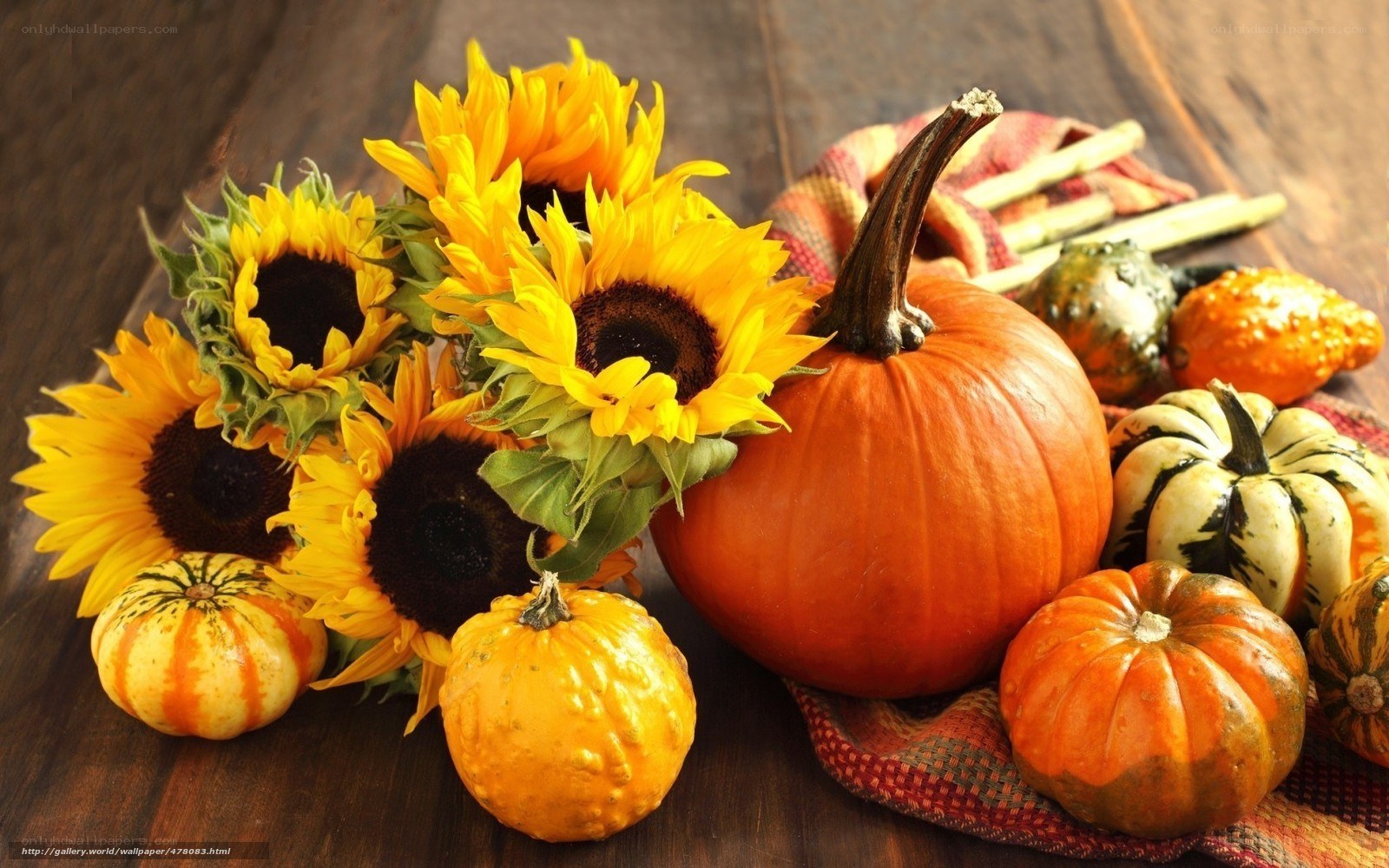 Sunflowers and pumpkins on wood
