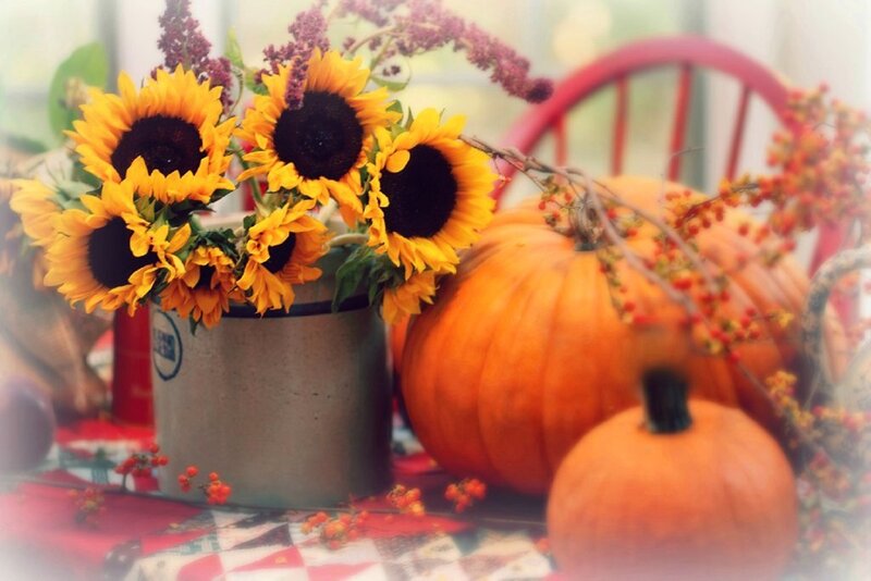 Sunflowers and Pumpkins — Orange