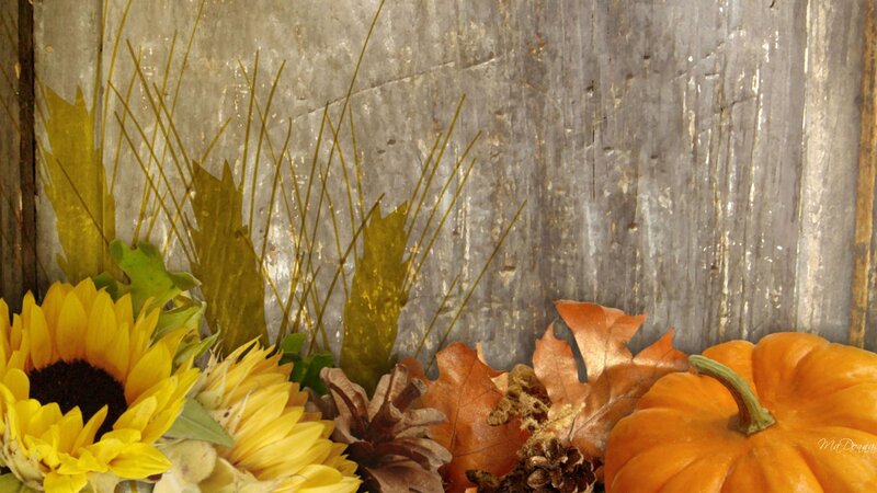 Sunflowers and Pumpkins