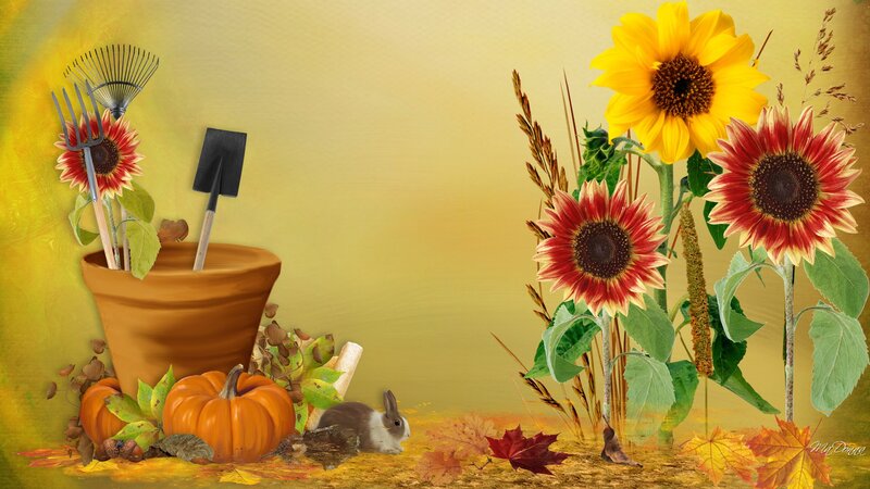 Sunflowers and Pumpkins — Yellow, Autumnal, Autumn