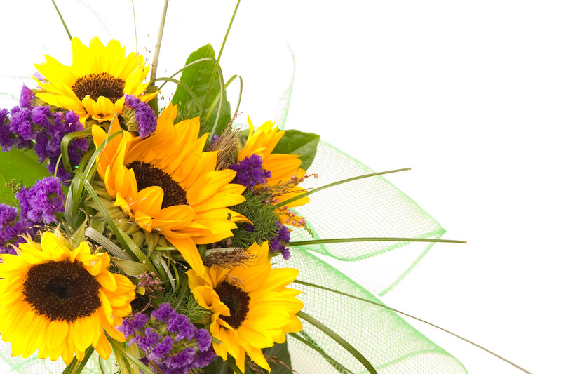 Sunflowers and Purple Flowers — Yellow, Bright