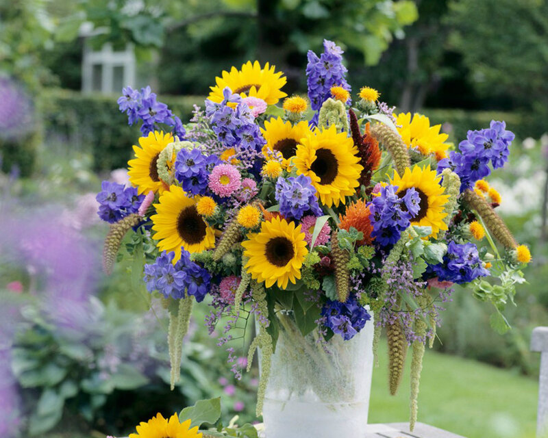 Sunflowers and Purple Flowers — Yellow, Serene
