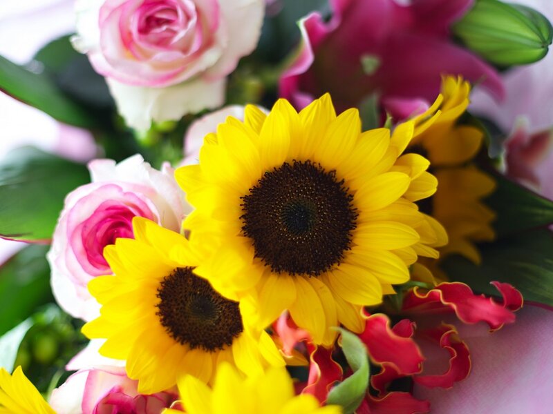 Sunflowers and Roses