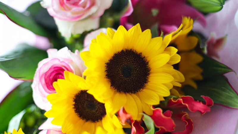 Sunflowers and Roses — Yellow, Bright