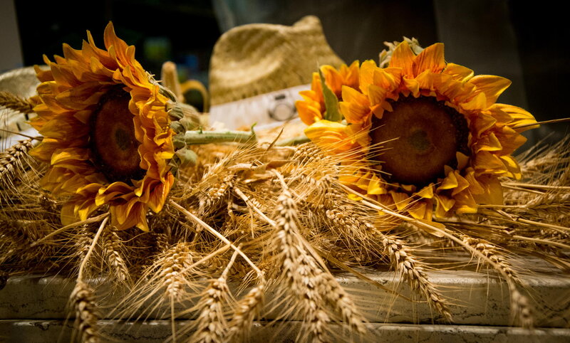 Sunflowers and Wheat