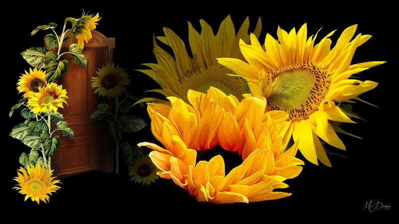 Sunflowers and Wooden Door