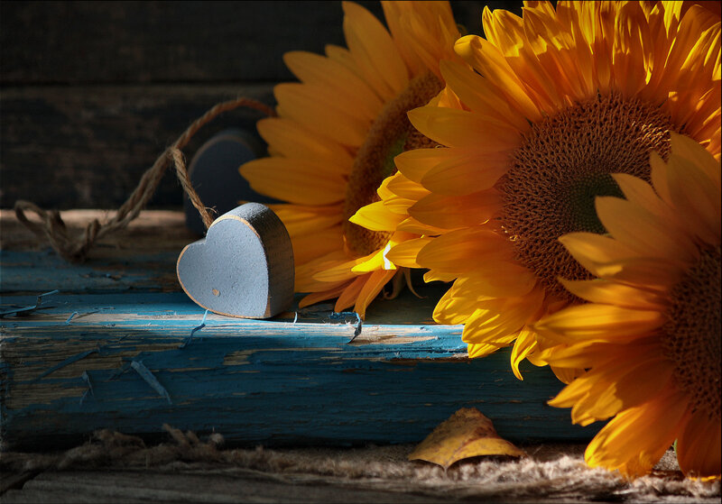Sunflowers and Wooden Heart