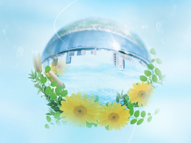 Sunflowers Around Globe