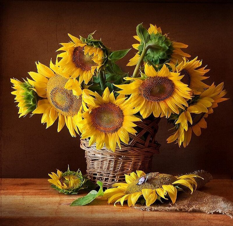 Sunflowers in a basket
