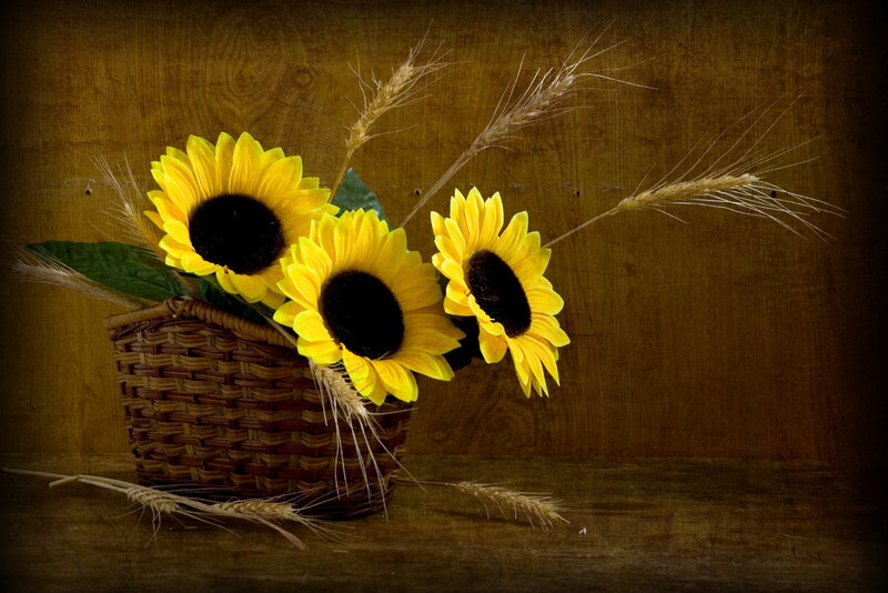 Sunflowers in a basket