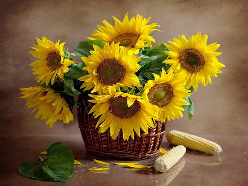Sunflowers in a Basket — Yellow, Calm