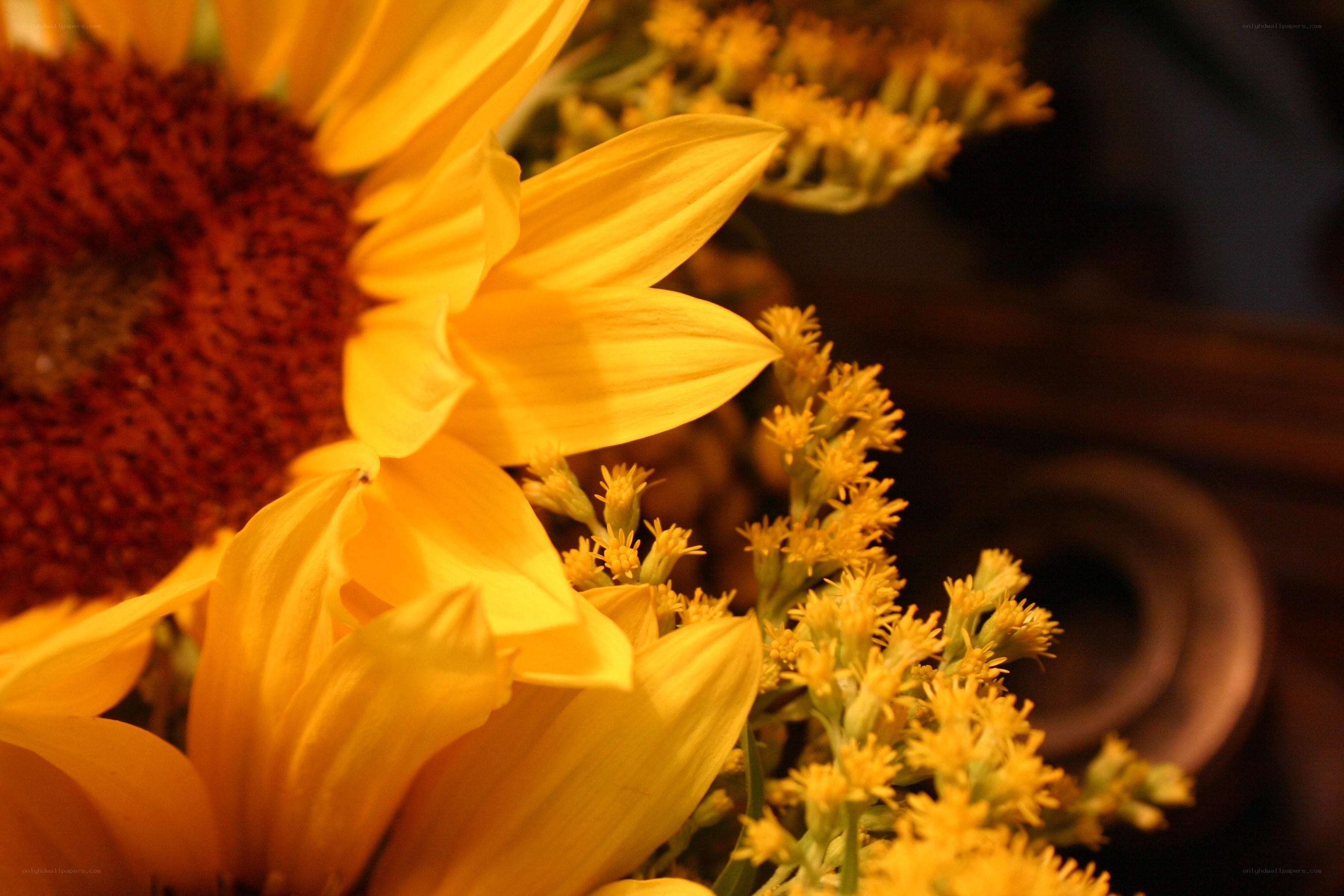 Sunflowers in a bouquet