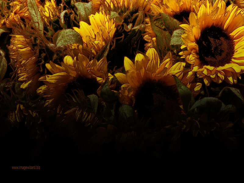 Sunflowers in a Bouquet — Yellow